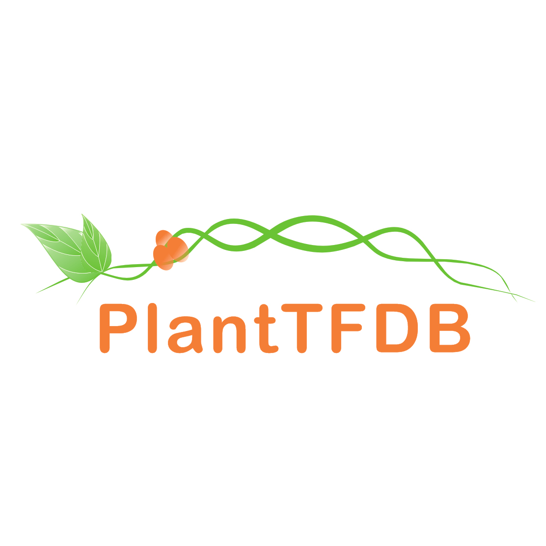 PlantTFDB