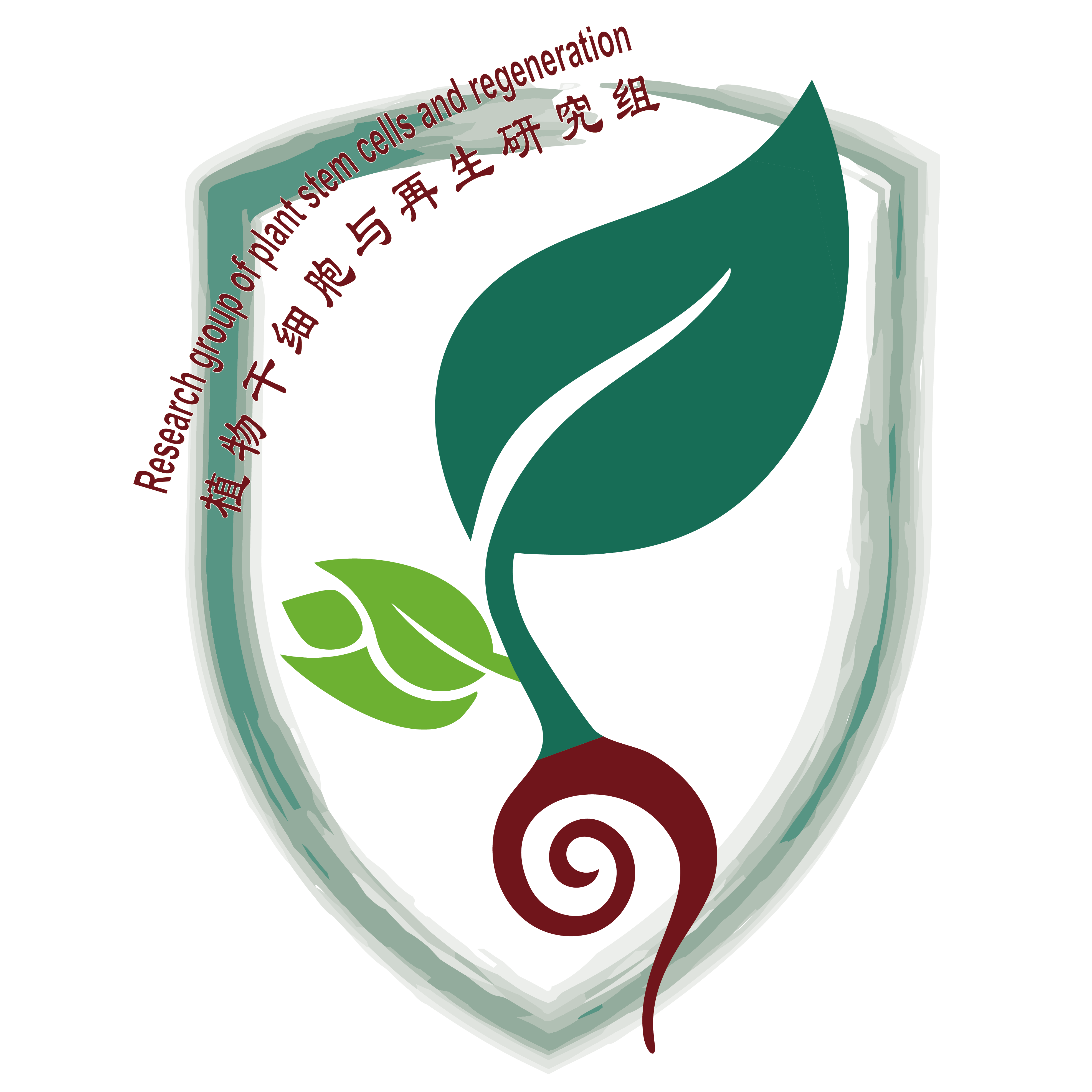Lin Xu Lab